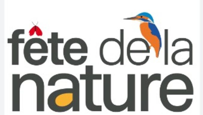 Capture d’écran 2025-05-28 090024.jpg