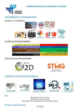 Lycée ARAGON-PICASSO_page-0001(1).jpg